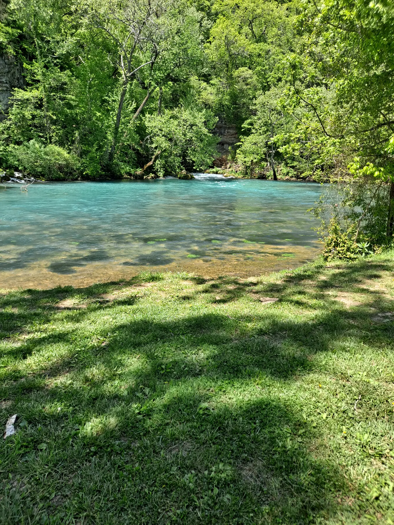 Clear turquoise spring-fed creek running between green banks