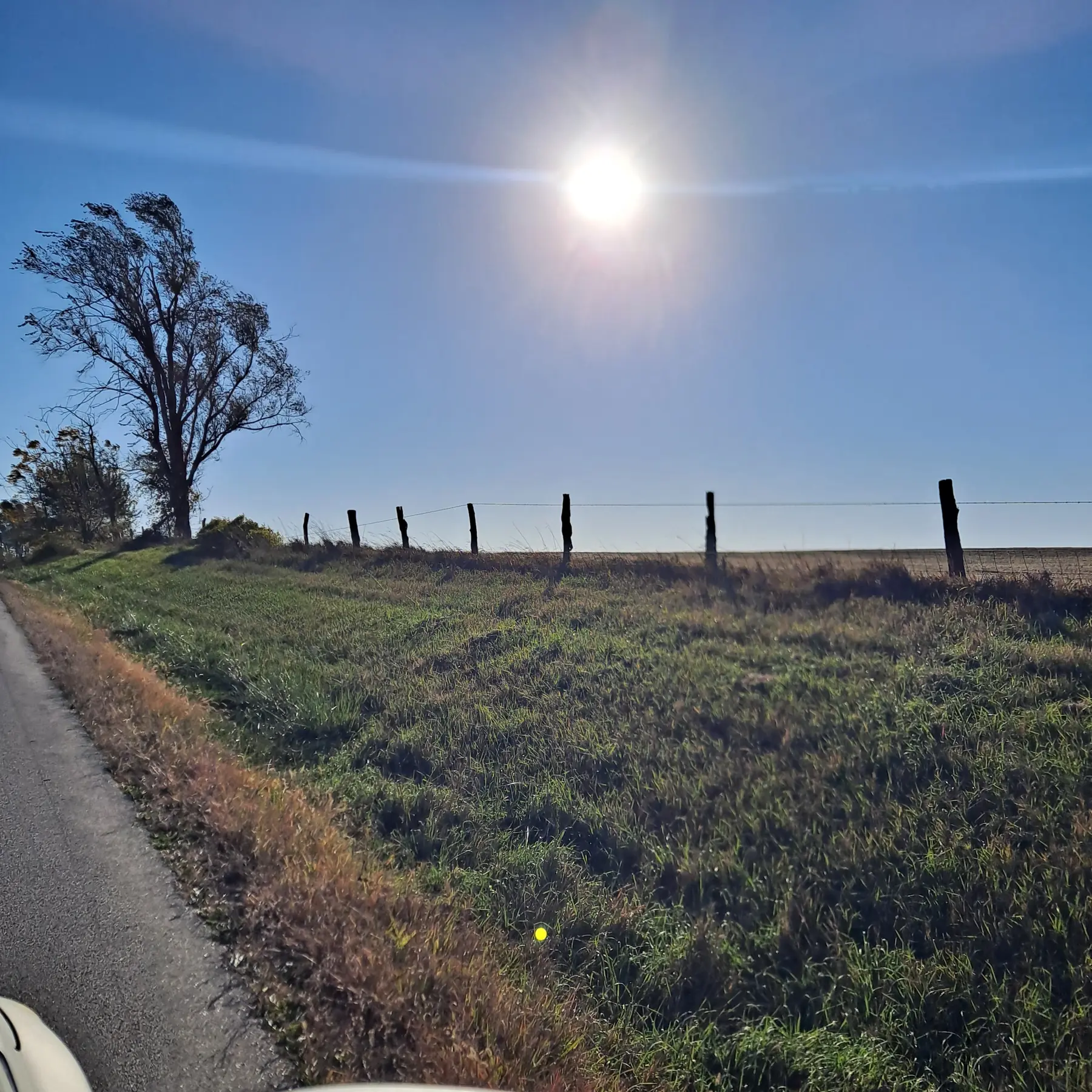 Morning sun over a fence line and pasture along a country road