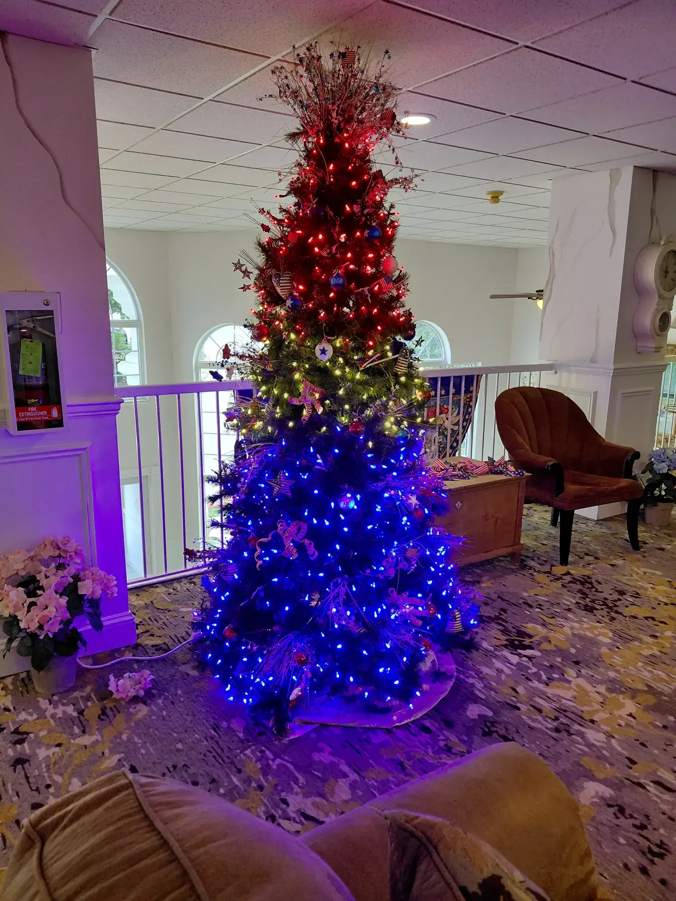 Christmas tree decorated in red, white, and blue patriotic lights